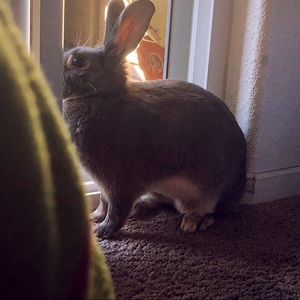 Meet your Posher, Alejandro